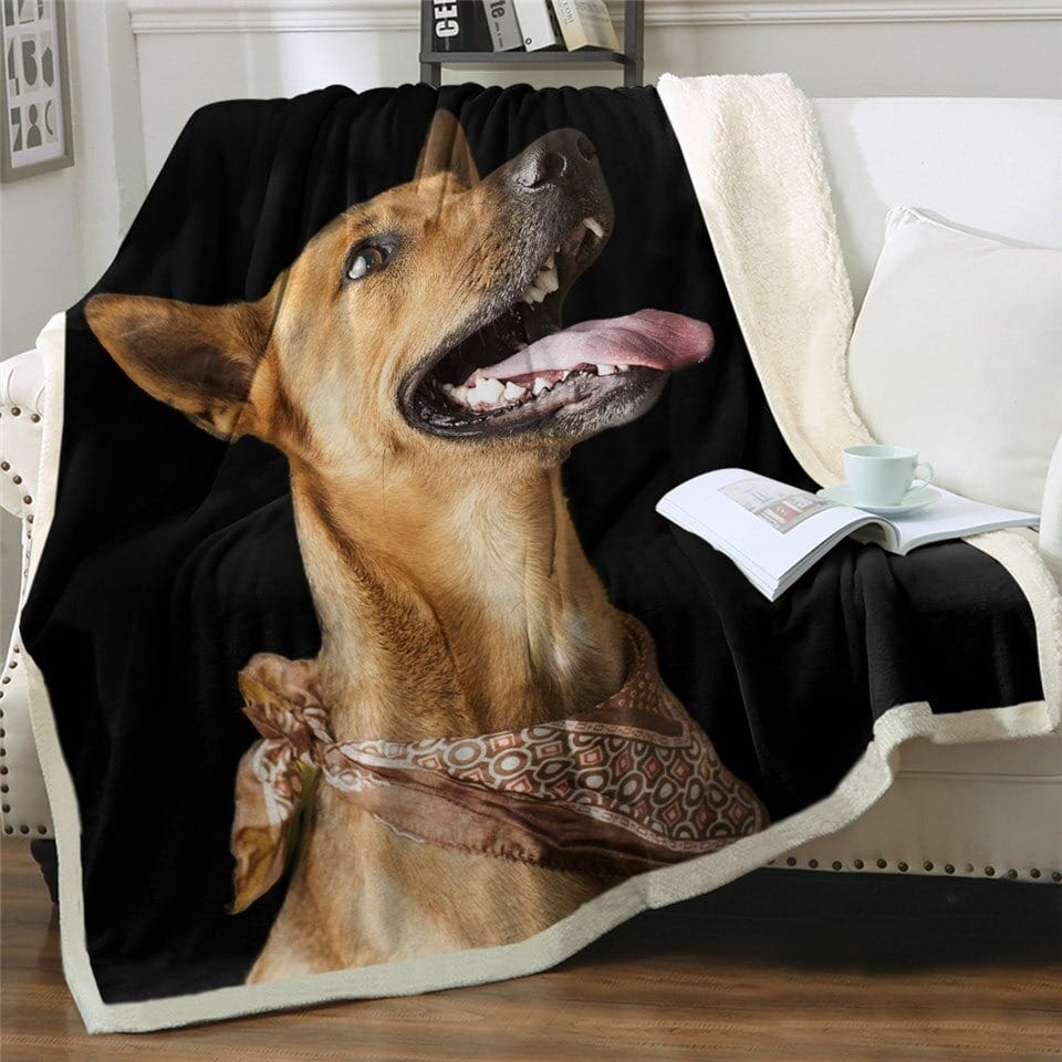 Plaid noir avec imprimé chien sur un canapé