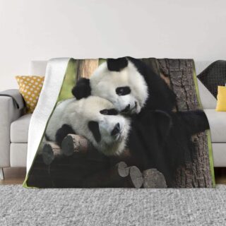 Plaid avec en motif deux pandas à côté d'un tronc d'arbre, posé sur un canapé avec des coussins de couleurs jaunes